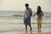 Parents New Stills